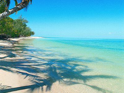 Bedarra Island Hotell Great Barrier Reef Exteriör bild